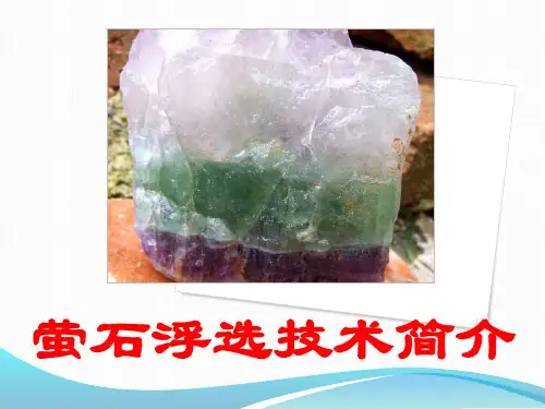 选矿生产管理仿真实训教学课件：萤石浮选技术介绍