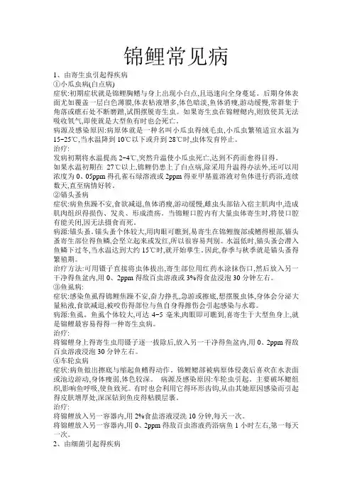 锦鲤常见病症状及治疗方法