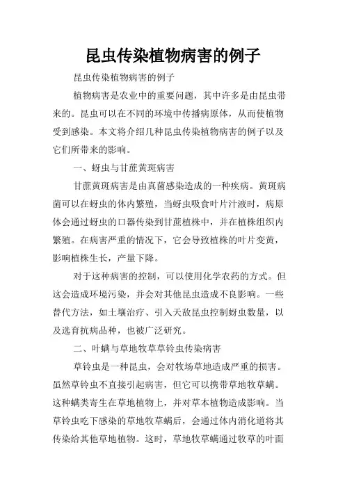 昆虫传染植物病害的例子