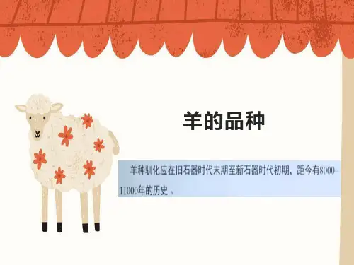 羊的品种识别