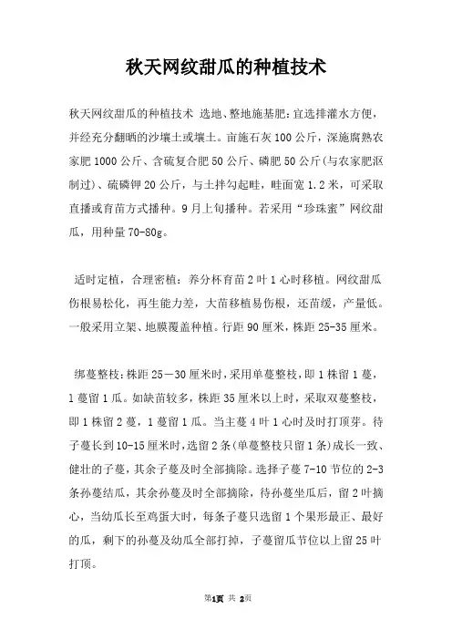 秋天网纹甜瓜的种植技术
