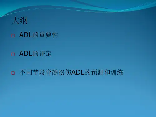 ADL-SCI1(脊髓损伤日常生活评定)