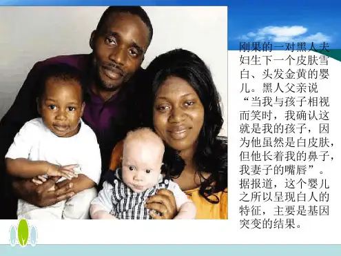 新人教版高中必修2生物 51 基因突变和基因重组共37张