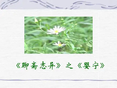 聊斋志异婴宁