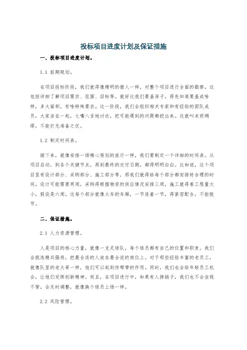 投标项目进度计划及保证措施