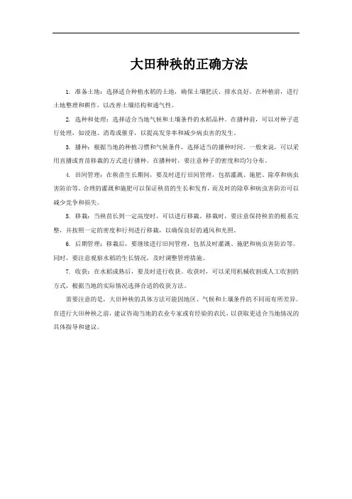 大田种秧的正确方法