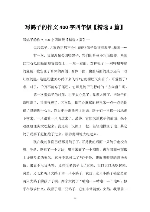 写鸽子的作文400字四年级【3篇】