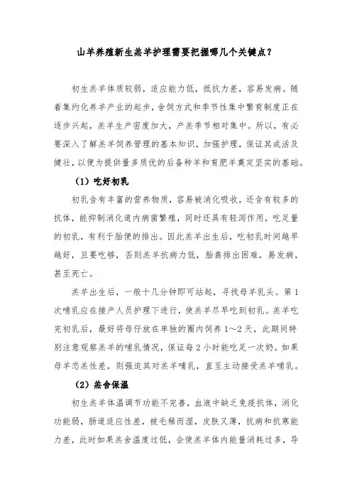 山羊养殖新生羔羊护理需要把握哪几个关键点？
