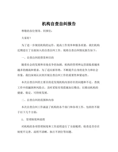 机构自查自纠报告