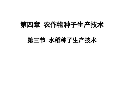 5、水稻常规品种种子生产技术[26页]