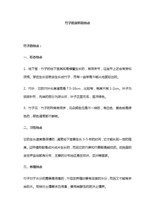 竹子的资料和特点