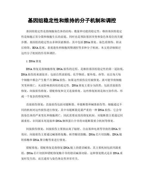 基因组稳定性和维持的分子机制和调控