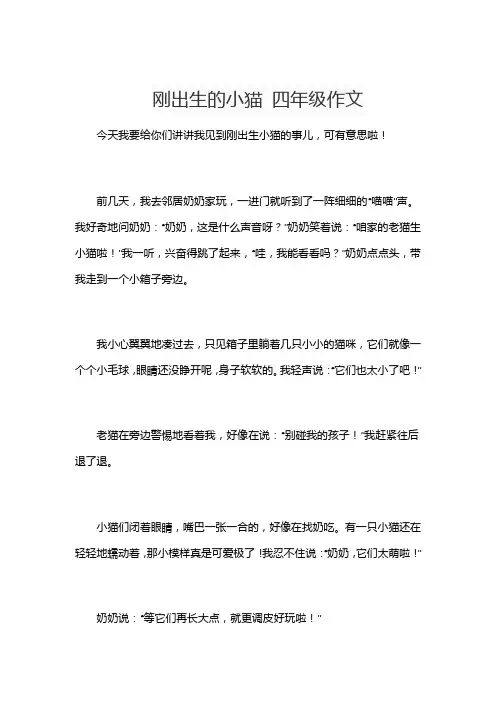 刚出生的小猫 四年级作文