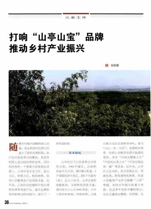 打响“山亭山宝”品牌 推动乡村产业振兴