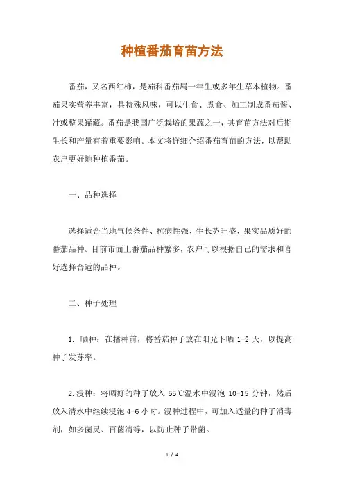 种植番茄育苗方法