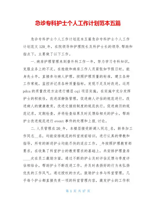 急诊专科护士个人工作计划范本五篇