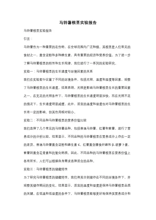 马铃薯根茎实验报告