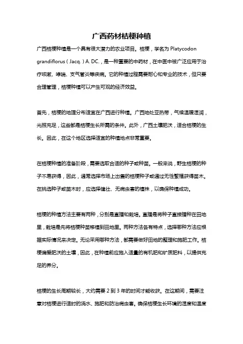 广西药材桔梗种植