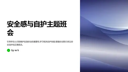 安全感和自护主题班会PPT课件