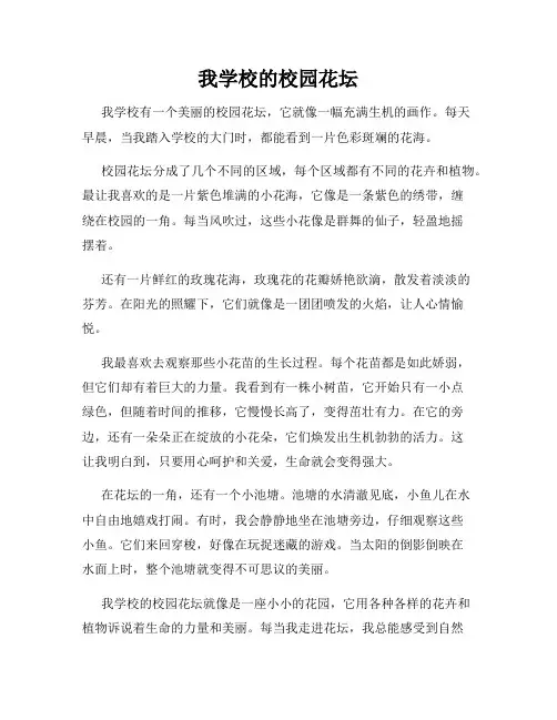 小学三年级作文这儿真美范文我学校的校园花坛