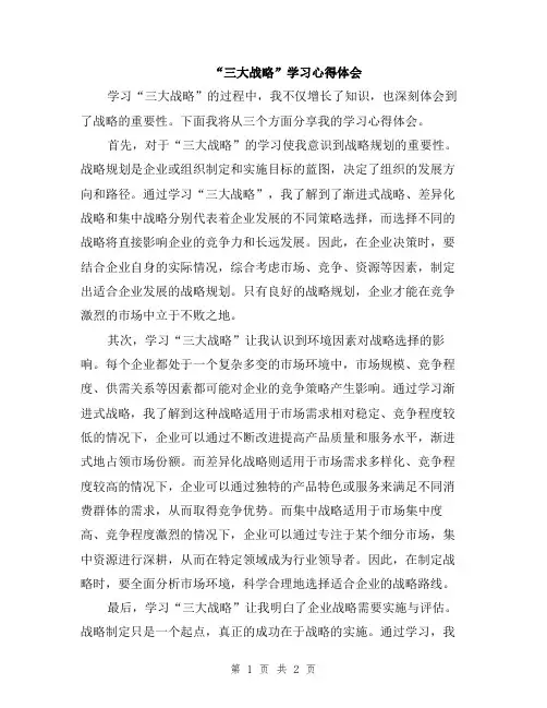 “三大战略”学习心得体会