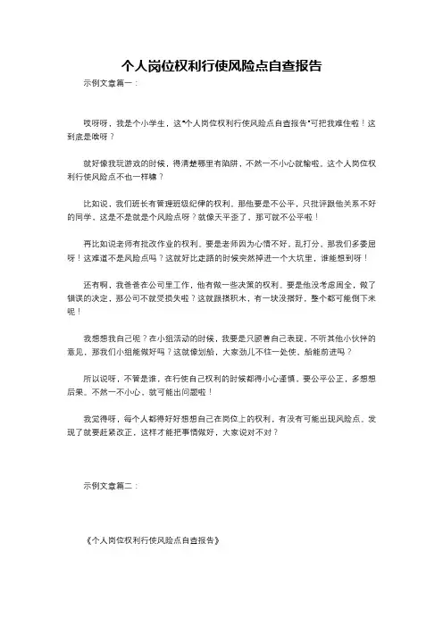 个人岗位权利行使风险点自查报告