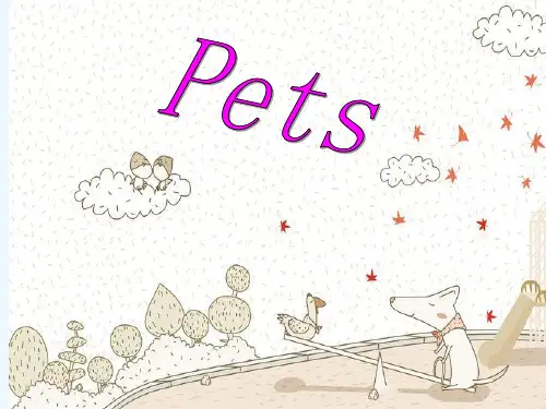 PET有关宠物的英文