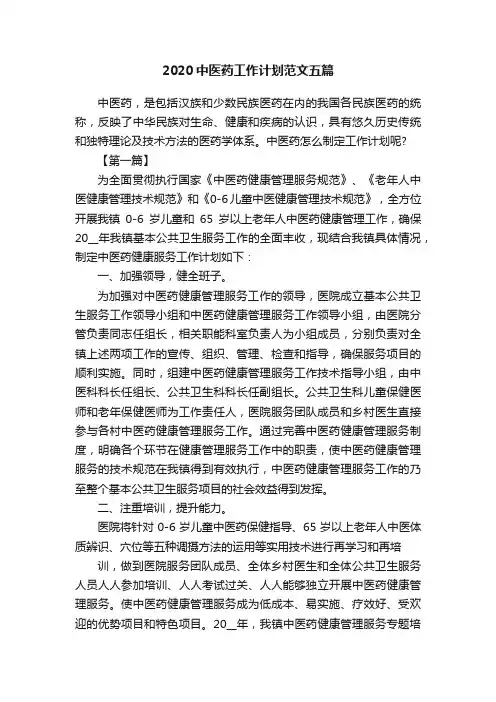 2020中医药工作计划范文五篇