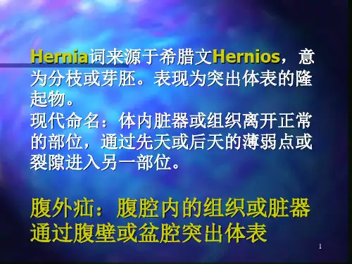 基础医学腹外疝