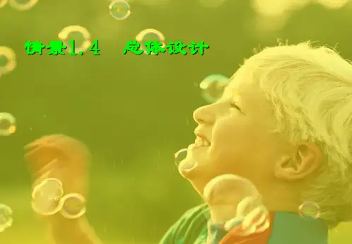 软件系统设计-总体设计 PPT 课件