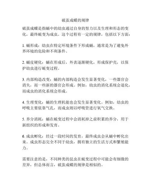 破茧成蝶的规律