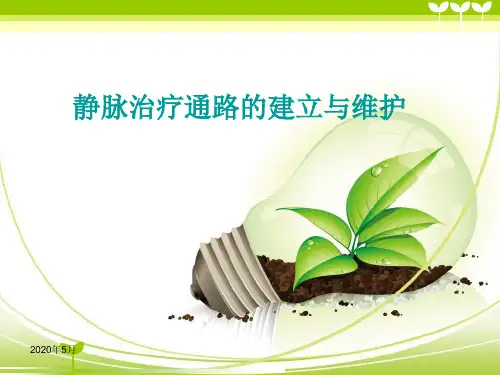 静脉治疗通路的建立与维护