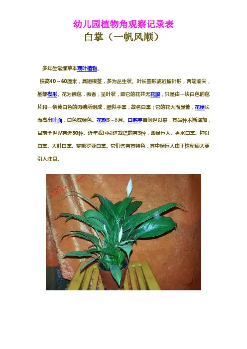 幼儿园植物角观察记录表(一)