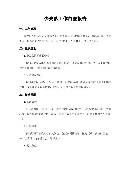 少先队工作自查报告