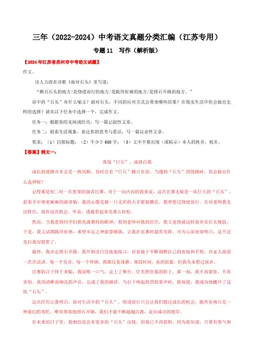 专题11 作文(解析版)(江苏专用)