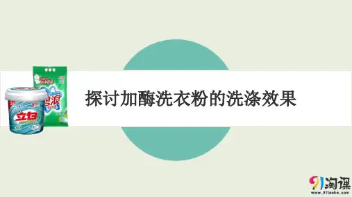 课件10：4.2 探讨加酶洗衣粉的洗涤效果