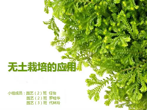(完整版)无土栽培PPT