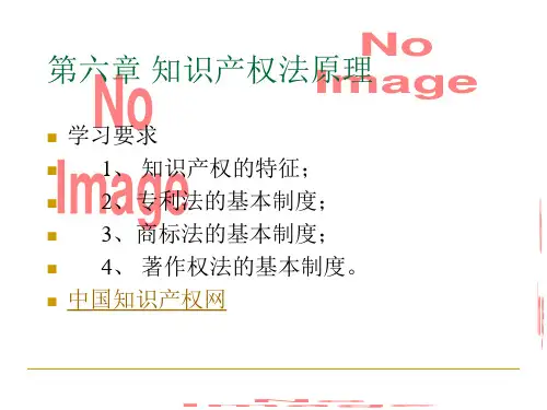 第七讲 知识产权法讲义资料
