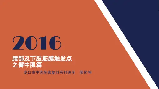 腰部及下肢筋膜触发点之臀中肌篇