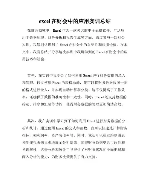 excel在财会中的应用实训总结