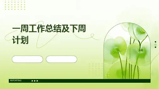 一周工作总结及下周计划PPT