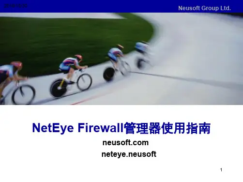 东软防火墙 NetEye FW 用户管理器 使用
