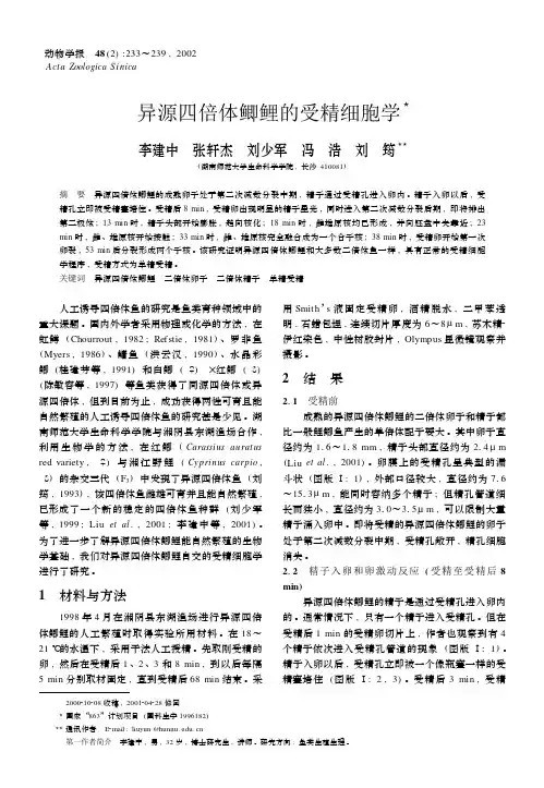 异源四倍体鲫鲤的受精细胞学