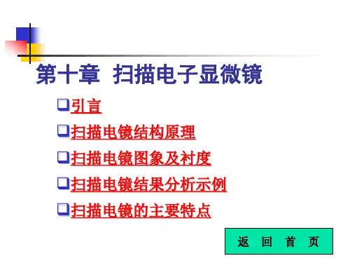 扫描电镜与电子探针