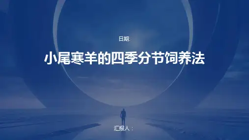 小尾寒羊的四季分节饲养法