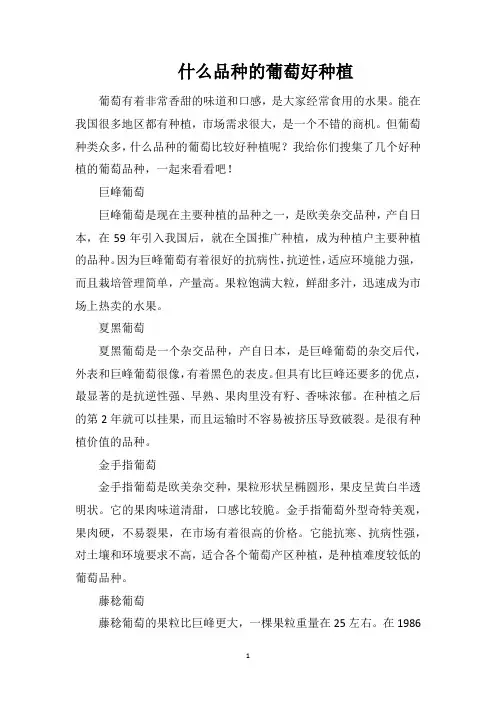 什么品种的葡萄好种植