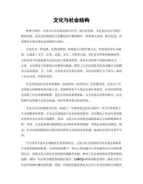文化与社会结构