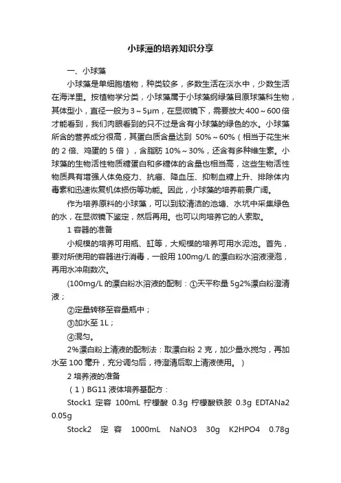 小球藻的培养知识分享