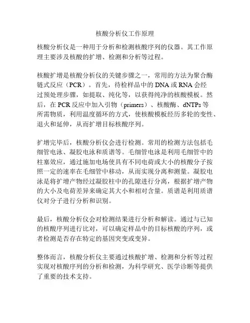 核酸分析仪工作原理