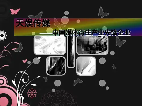 天娱传媒事业运营介绍